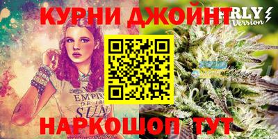 стаф Донской