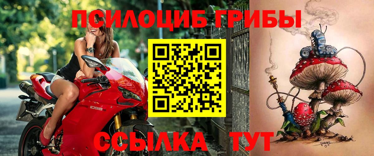 Дедовск  Псилоцибиновые грибы Psilocybine cubensis  Вход с VPN  Галлюциногенные грибы Psilocybine cubensis 