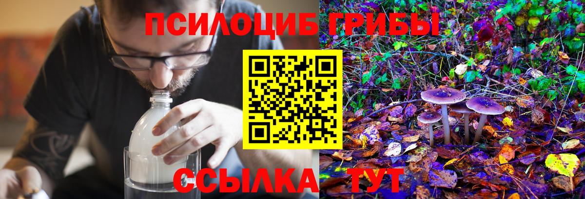 Галлюциногенные грибы Magic Shrooms Дедовск